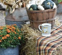 Herbstliche Gartendeko – 15 herrliche Ideen und Anregungen
