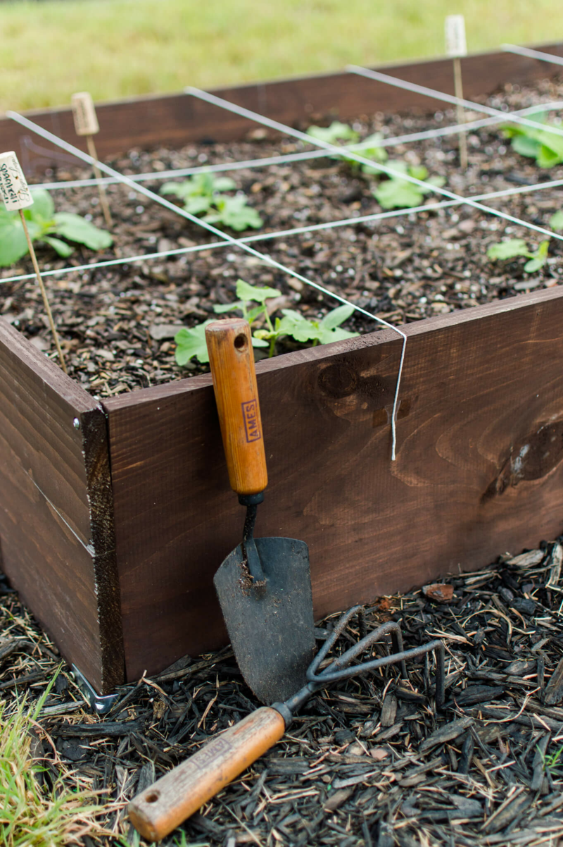 Hochbeet im Herbst bepflanzen Tipps für Hobbygärtner