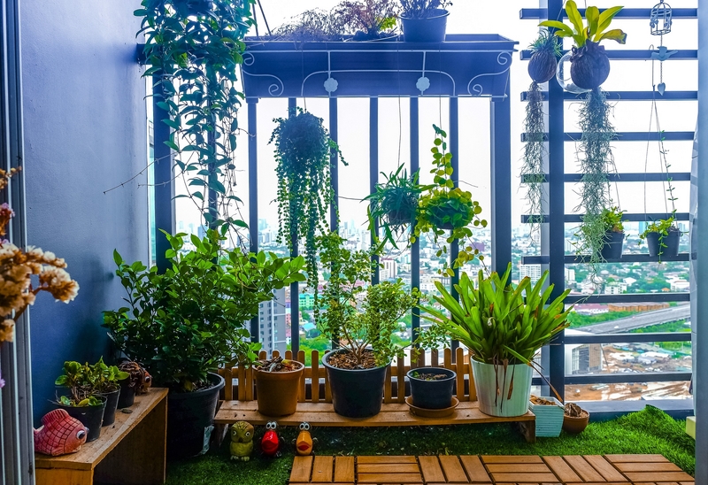 Diese 10 Balkonpflanzen vertragen viel Regen