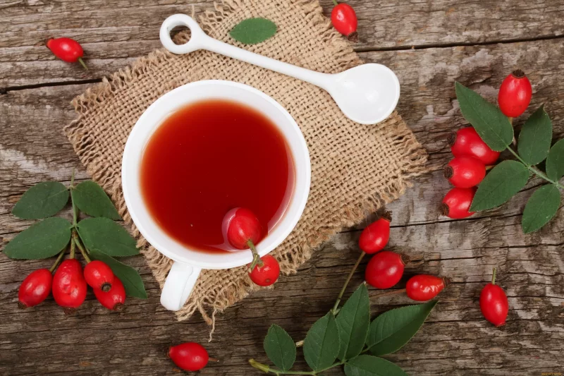 Hagebuttentee selber machen – warm und gesund im Herbst tee selber bruehen mixen