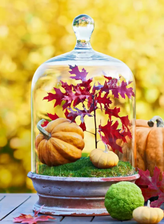 Herbstdeko draussen Kuerbisse Herbstlaub unter Deckel Blickfang Tischdeko im Garten