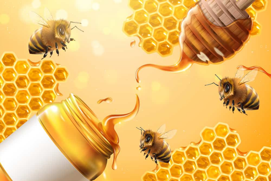 Natürliche Antibiotika Bienenhonig reinstes unbehandeltes Naturprodukt antibakterielle Eigenschaften