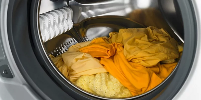 Fettläuse aus Waschmaschine und Wäsche entfernen Tipps und Tricks
