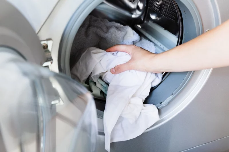 Fettläuse aus Waschmaschine und Wäsche entfernen Tipps