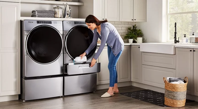 Fettläuse entfernen Washmaschine reinigen