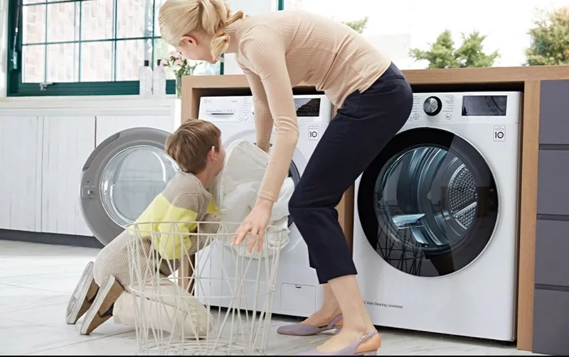 Wie kann man Fettläuse aus Waschmaschine und Wäsche entfernen