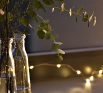 Eukalyptus Deko – tolle Ideen für eine winterliche und weihnachtliche Deko