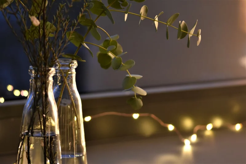 eukalyptus deko lichterkette behaglich weihnachtlich