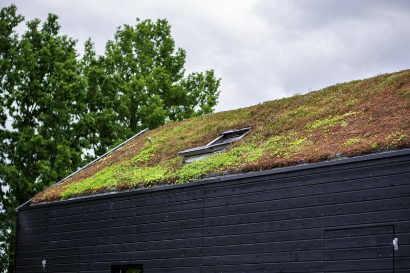 umweltfreundliches Haus beispiel dach