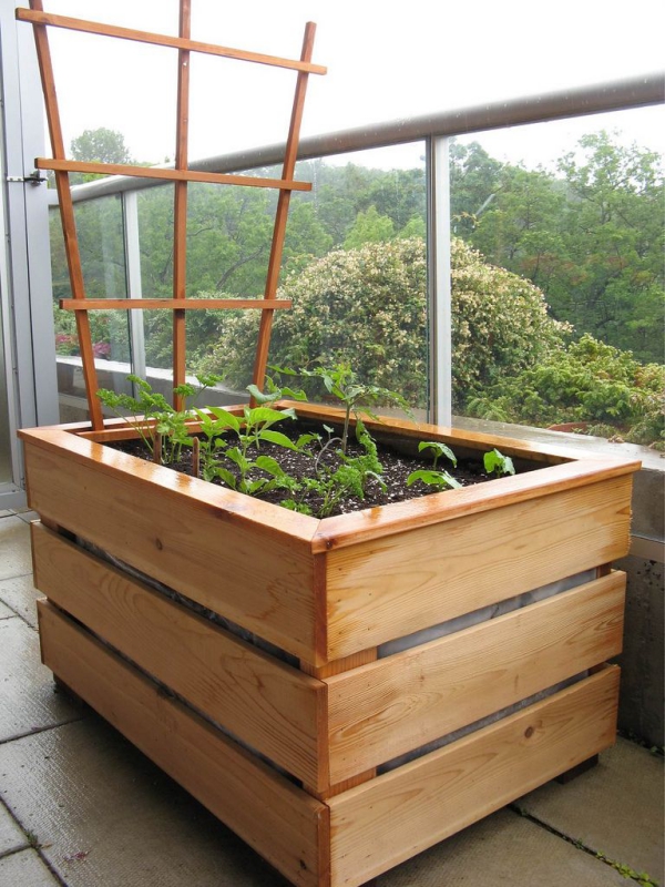 einen großen Balkonkasten mit Gemüsen pflanzen