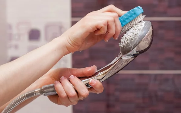 Duschkopf reinigen und entkalken vorbeugen schrubben Kalkablagerungen entfernen