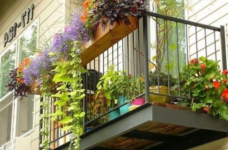 balkon bepflanzen