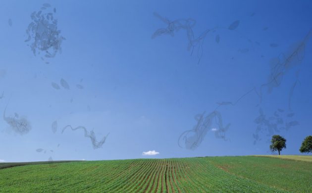 Feld und Himmel gesehen mit Mouches volantes