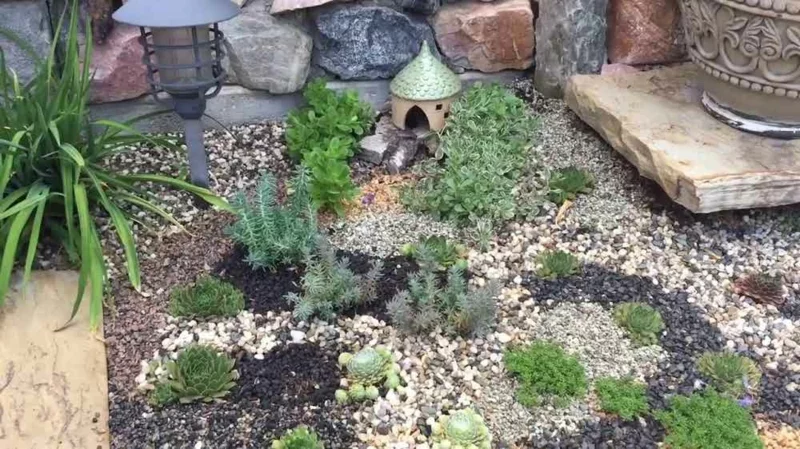 Mini Steingarten mit Kies und Sukkulenten 