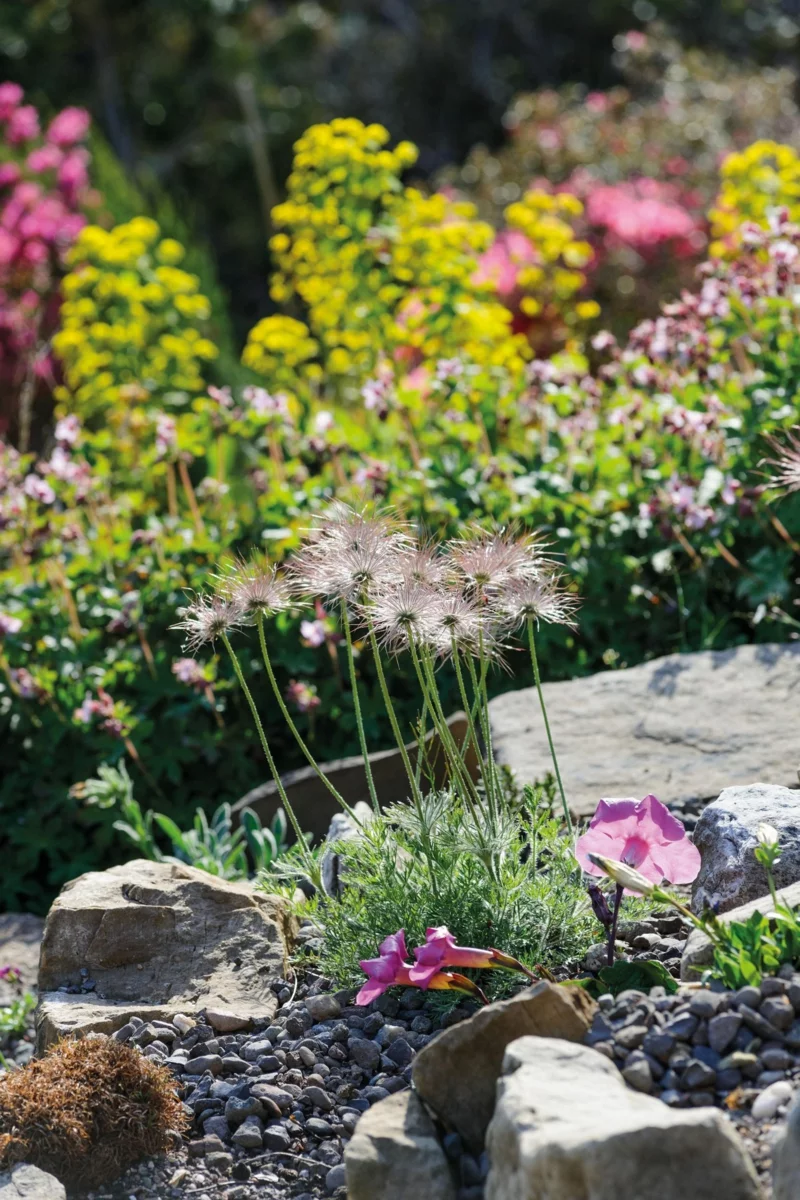Steingarten anlegen mit kleinen und großen Steinen und passenden Blumen 