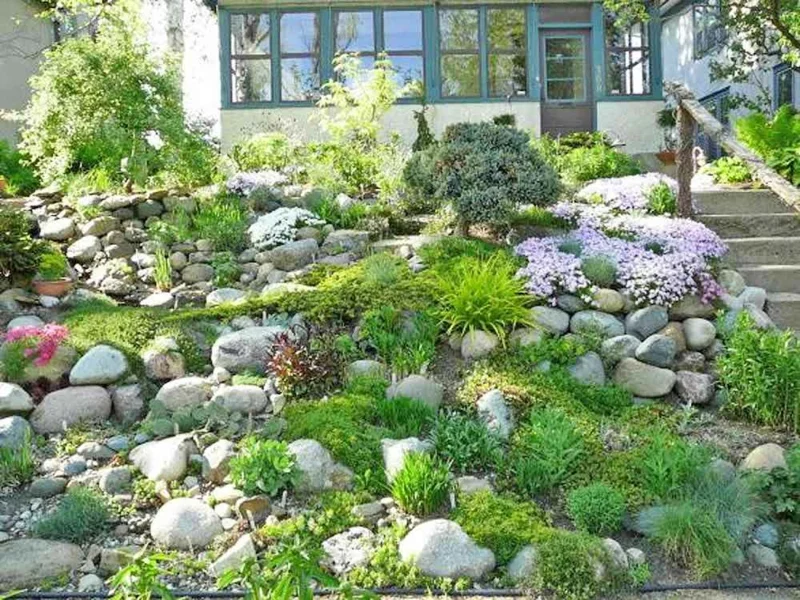 Vorgarten mit Steinen gestaltet 
