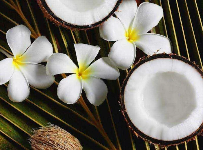  Sommerduft Kokos als natürliches Parfüm 