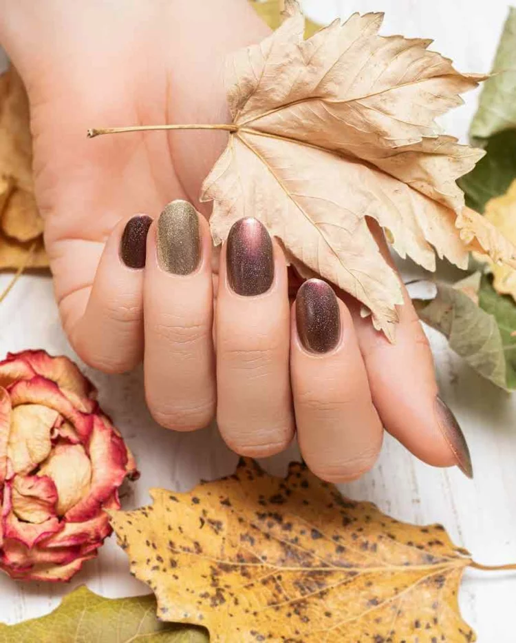 glänzende Nagellackfarben für den Herbst 
