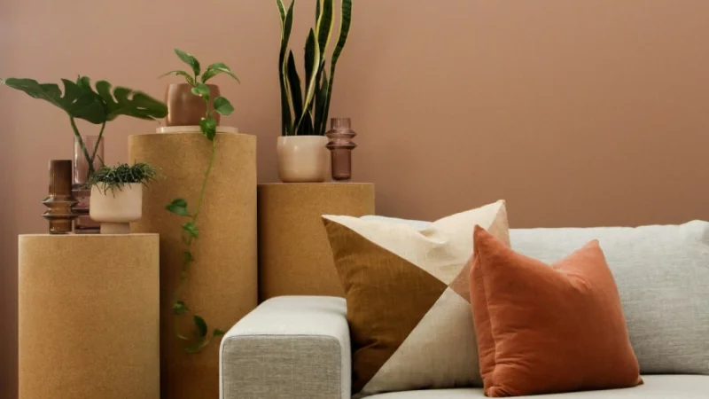 modernes Wohnzimmer in warmen Farbtönen Terrakotta Beige und einige Grünpflanzen