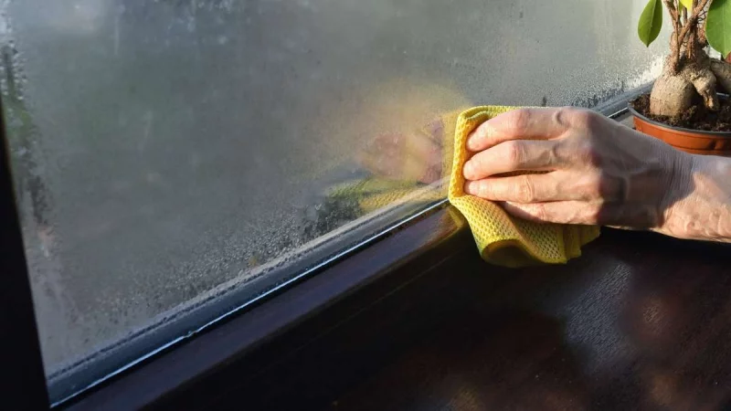 Feuchte Fenster abwischen Kondenswasser entfernen