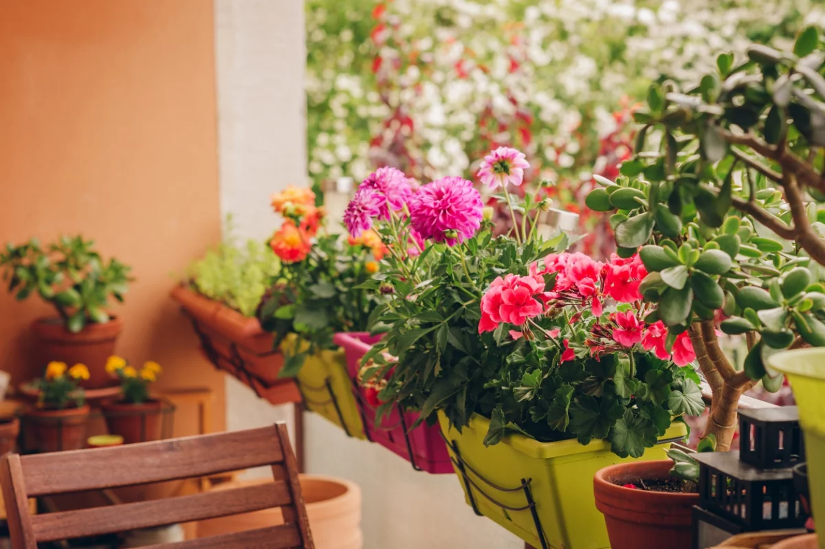 Kleinen Balkon mit blühenden Balkonblumen dekorieren