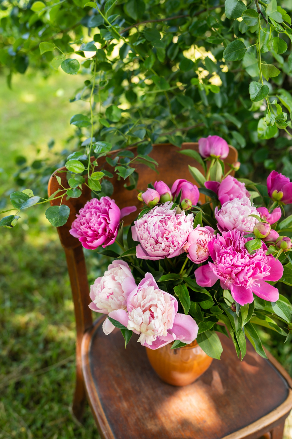 Päonien in zarten Farben in der Vase auf einem Stuhl im Garten - rustikales Arrangement