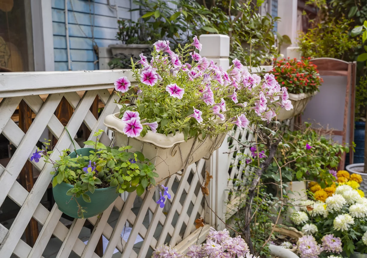 Anstatt Zaun bepflanzen kann man Blumenkästen aufhängen