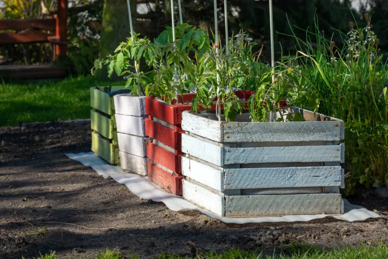 Drei Hochbeete für Gemüse und Kräuter im Garten