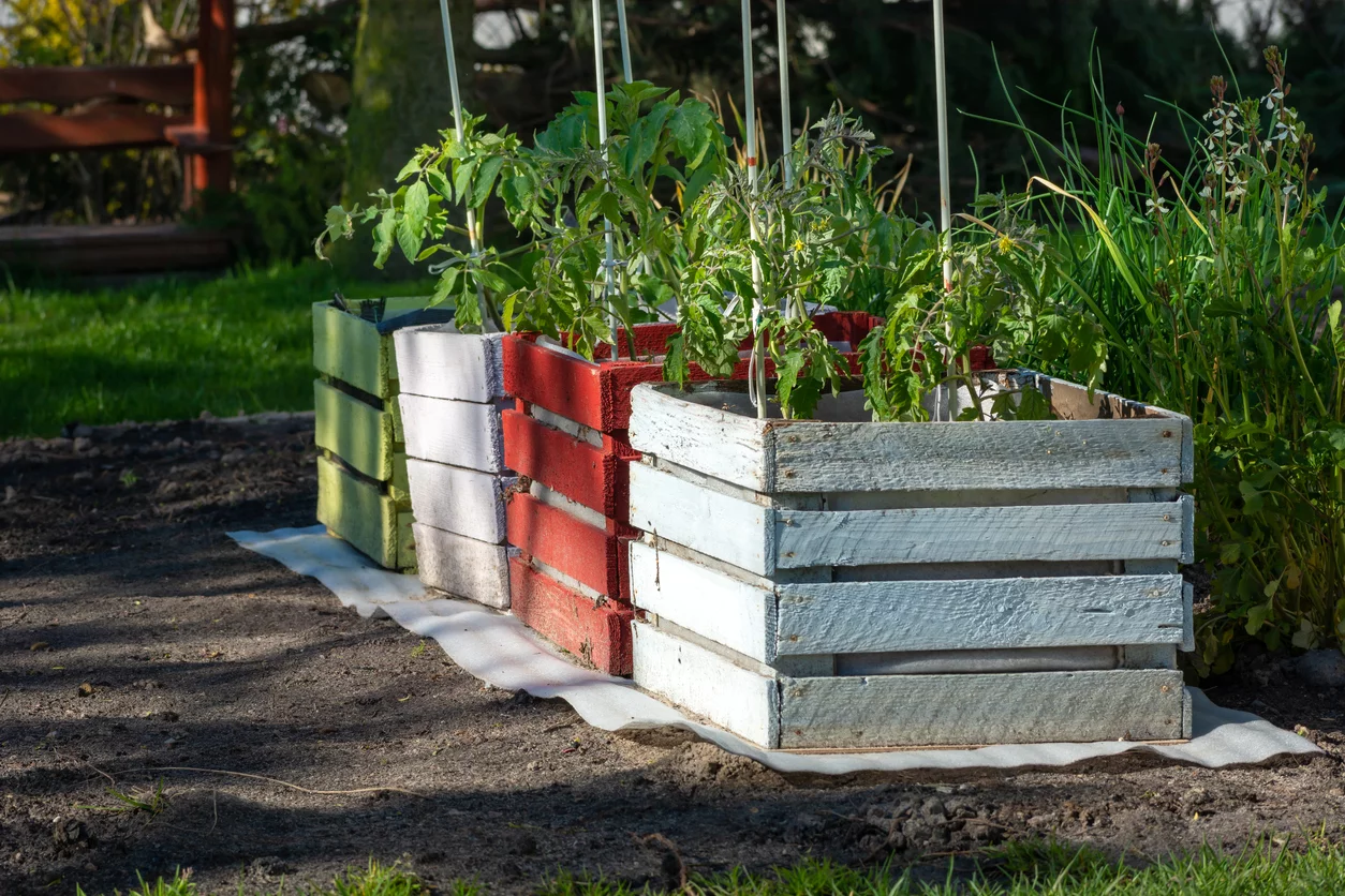 Vier Hochbeete für Gemüse und Kräuter im Garten