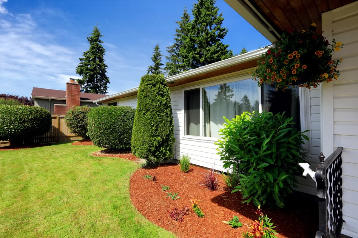 Simple Gartengestaltung mit Rasen und Zone für Sräucher