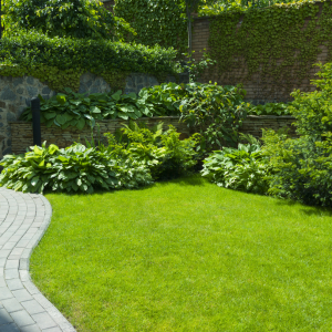 Gartengestaltung Ideen - grüner Rasen Sträucher und Steinweg