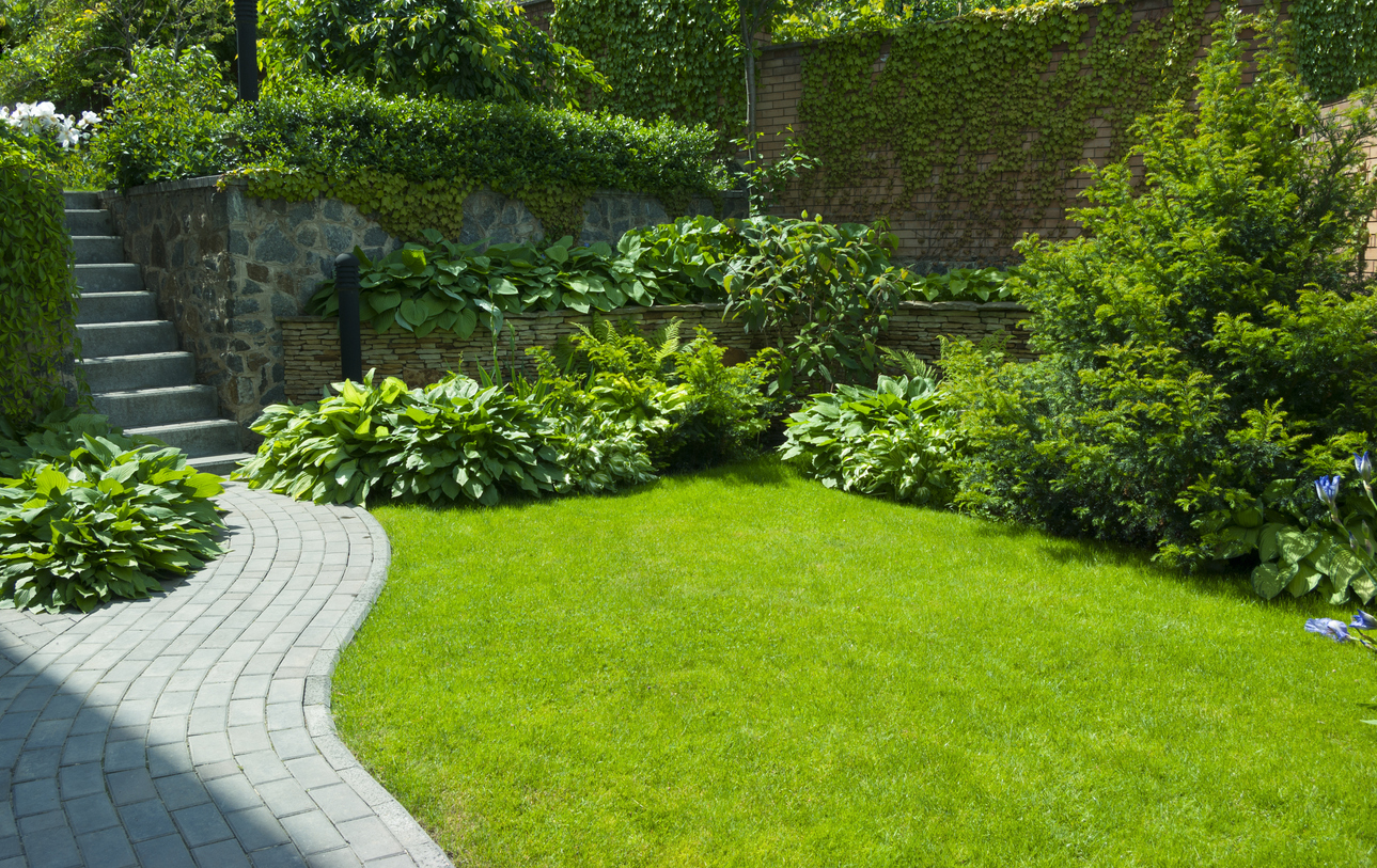 Gartengestaltung Ideen - grüner Rasen Sträucher und Steinweg