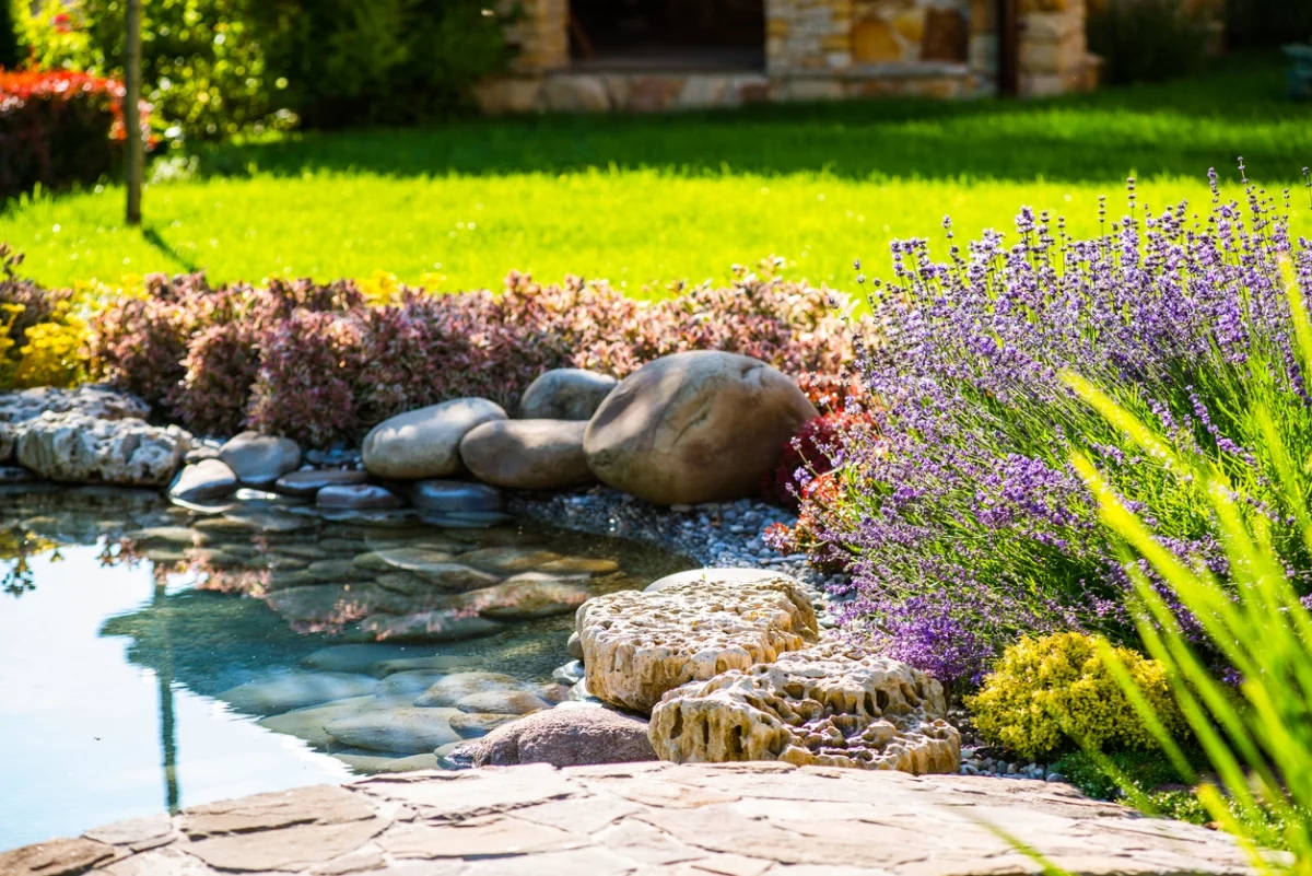 Pflanzen und Steine umranden den Gartenteich