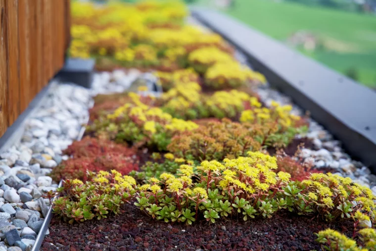 Steine im Garten einsetzen für die Gestaltung von Blumenbeeten