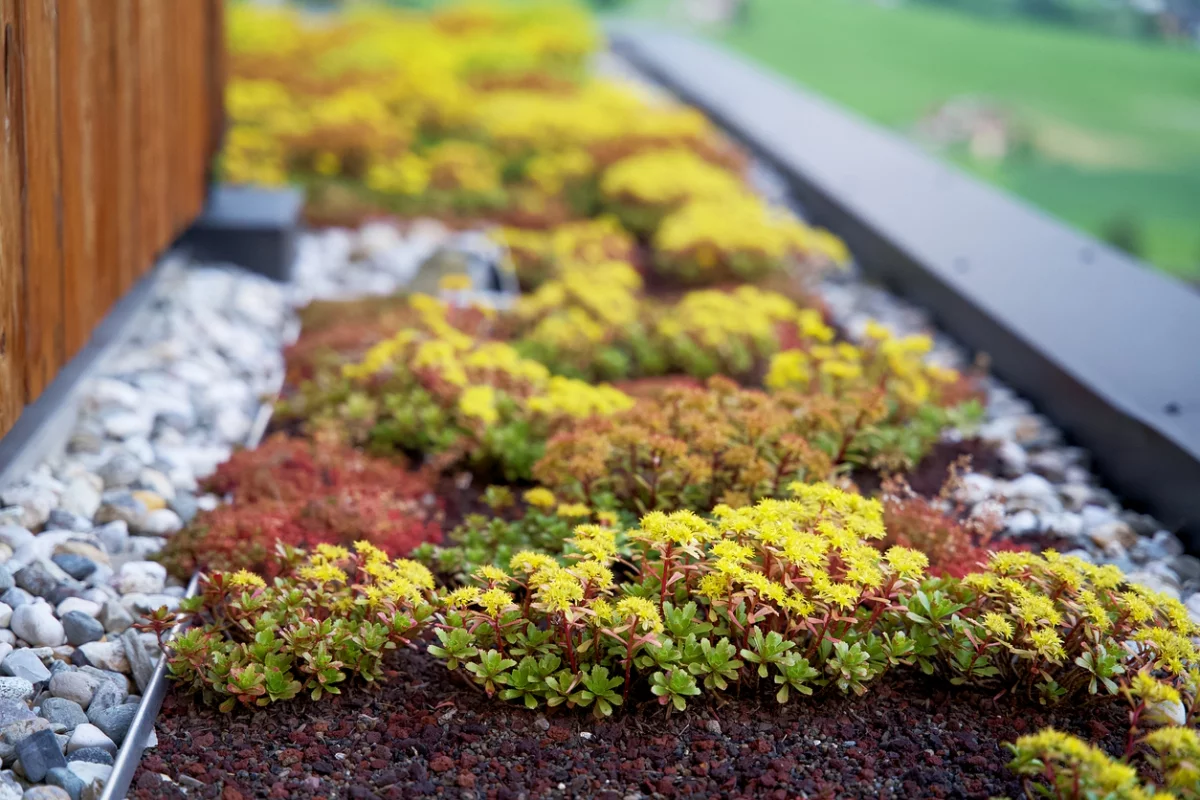 Steine im Garten einsetzen für die Gestaltung von Blumenbeeten