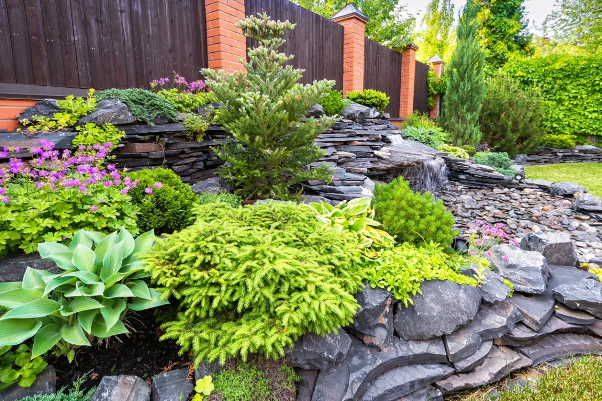 Steine im Garten – einen Steingarten anlegen und bepflanzen