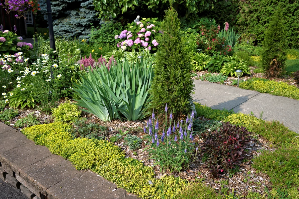 Steine und Blumen für schöne Gartengestaltung