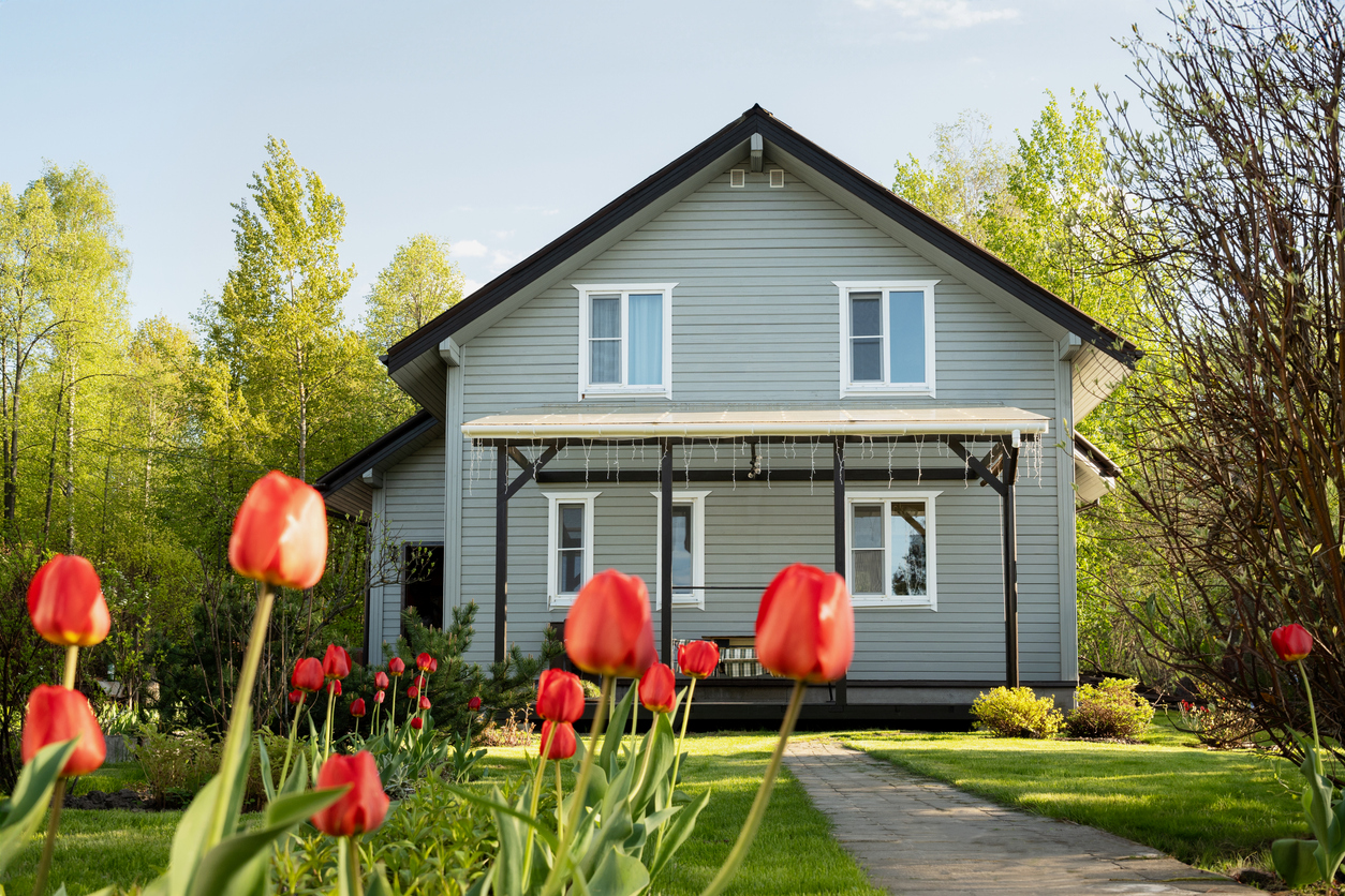 Tulpen im Garten – praktische Gartengestaltung Ideen