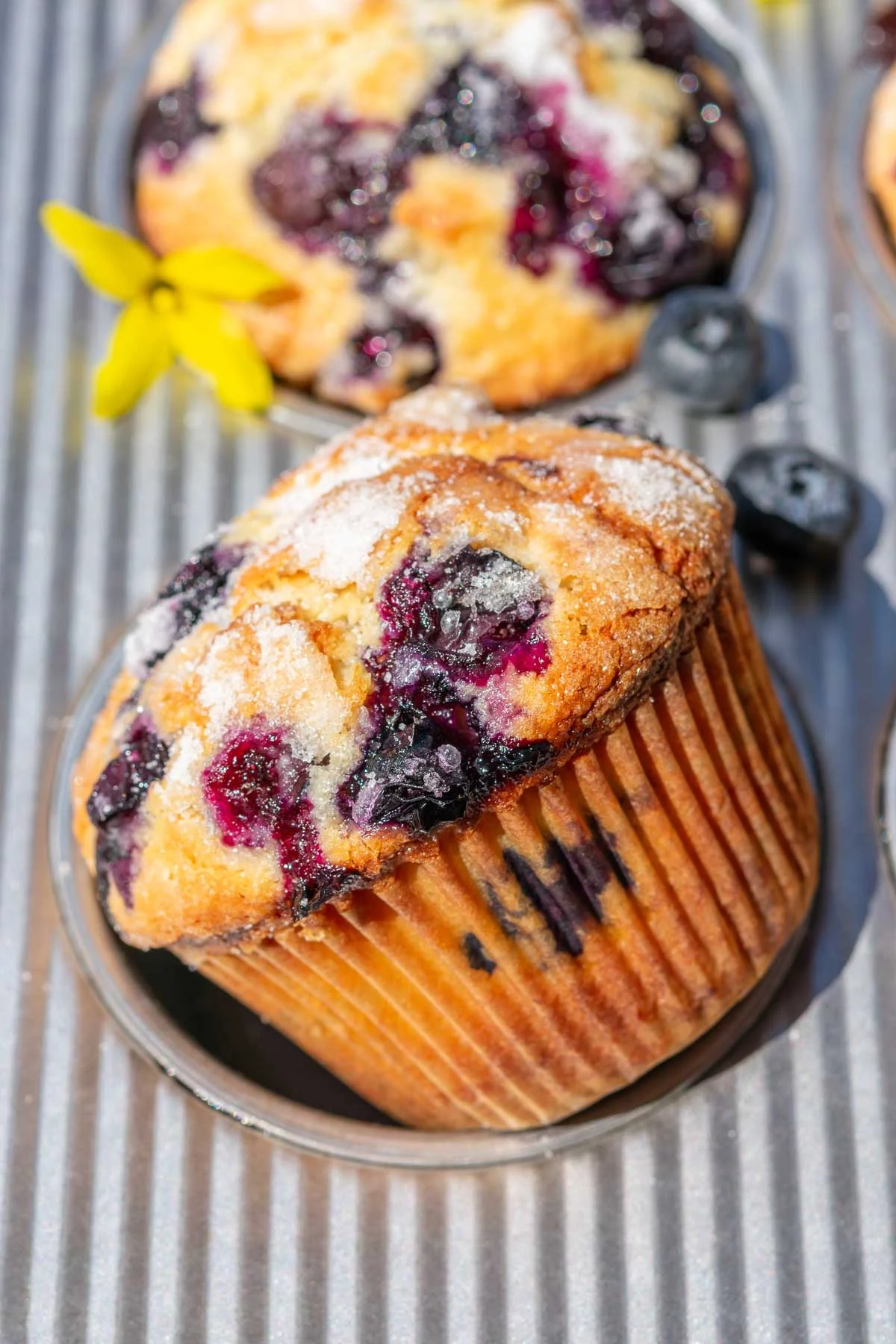 wer will Blaubeermuffins mit Streuseln zu Ostern zubereiten?