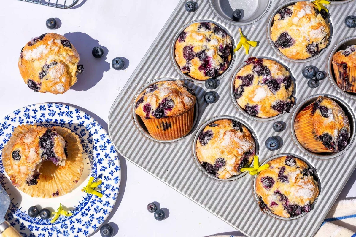Blaubeermuffins kann man zu einem Familienfest zubereiten