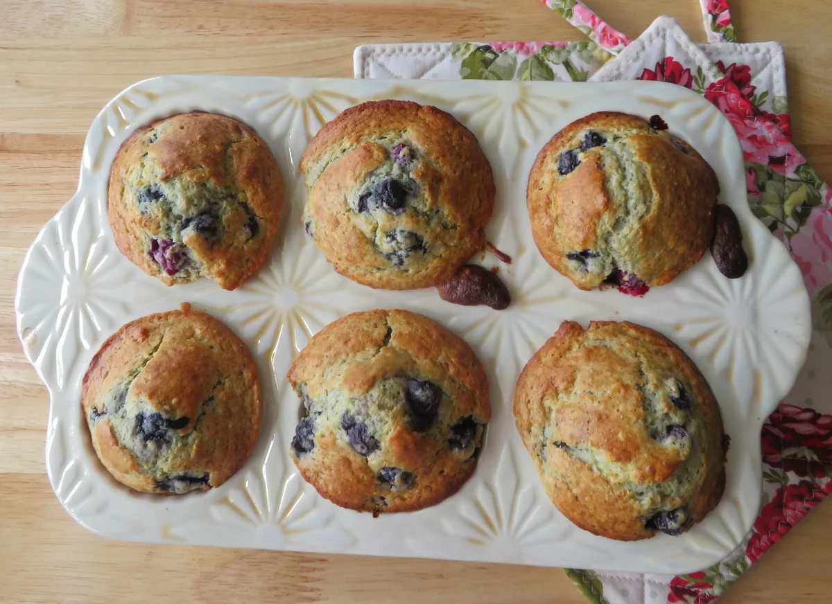 sechs frisch gebackene Blaubeermuffins in der Backform