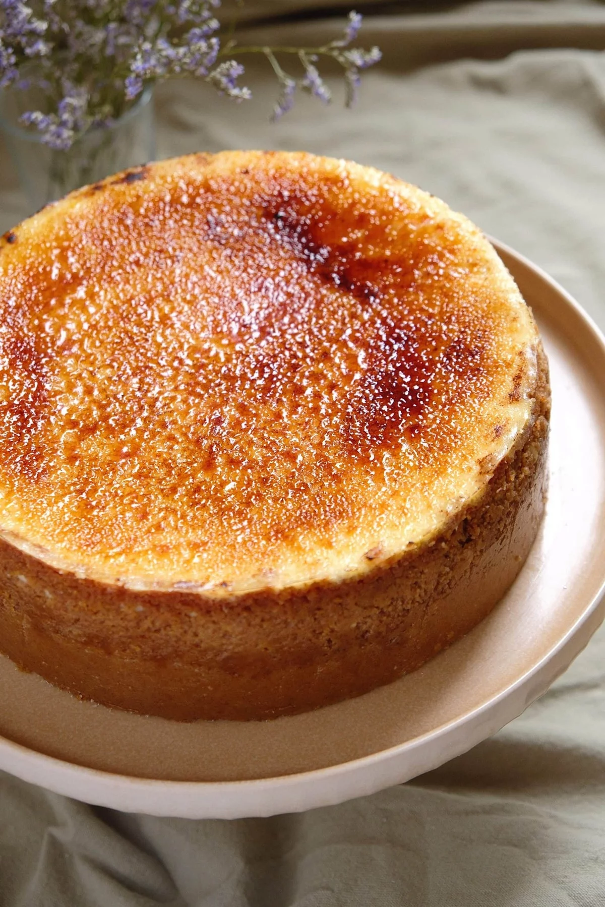 bester kÄsekuchen mit Kruste gebacken 