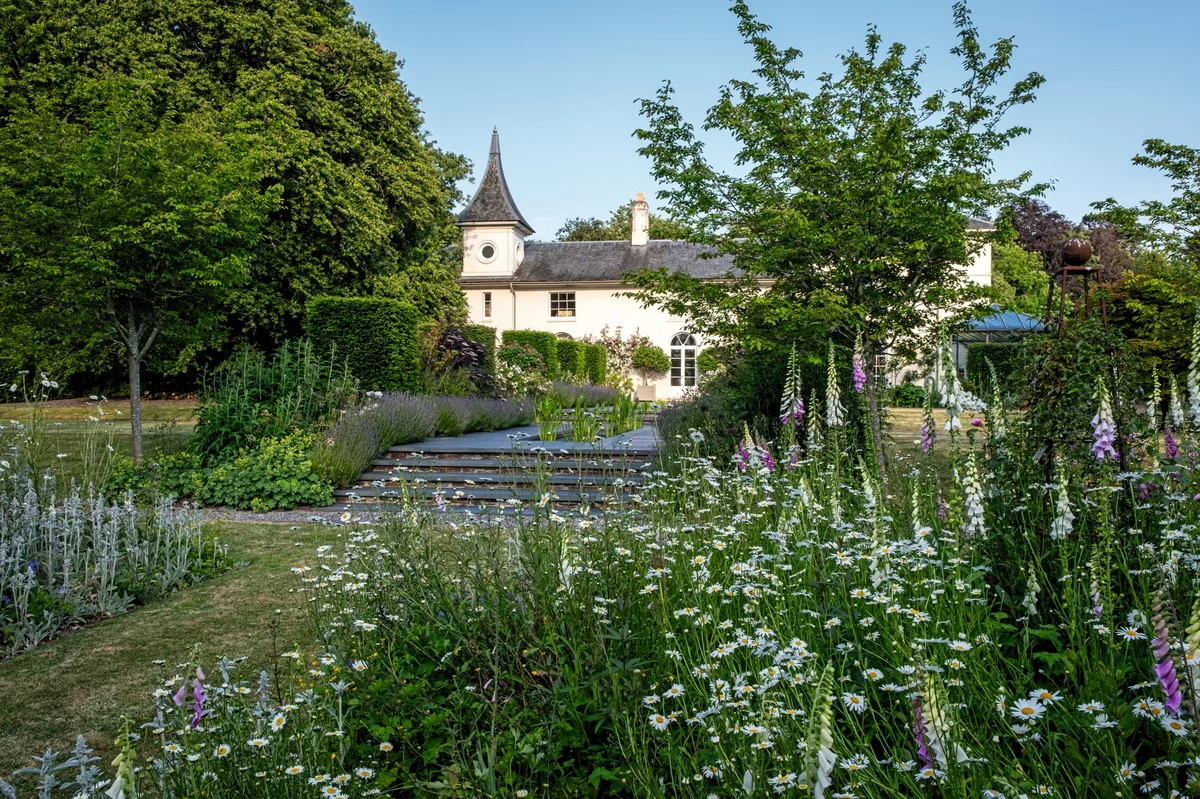 Garten Landhausstil mit wild wachsenden Pflanzen und Blumen 
