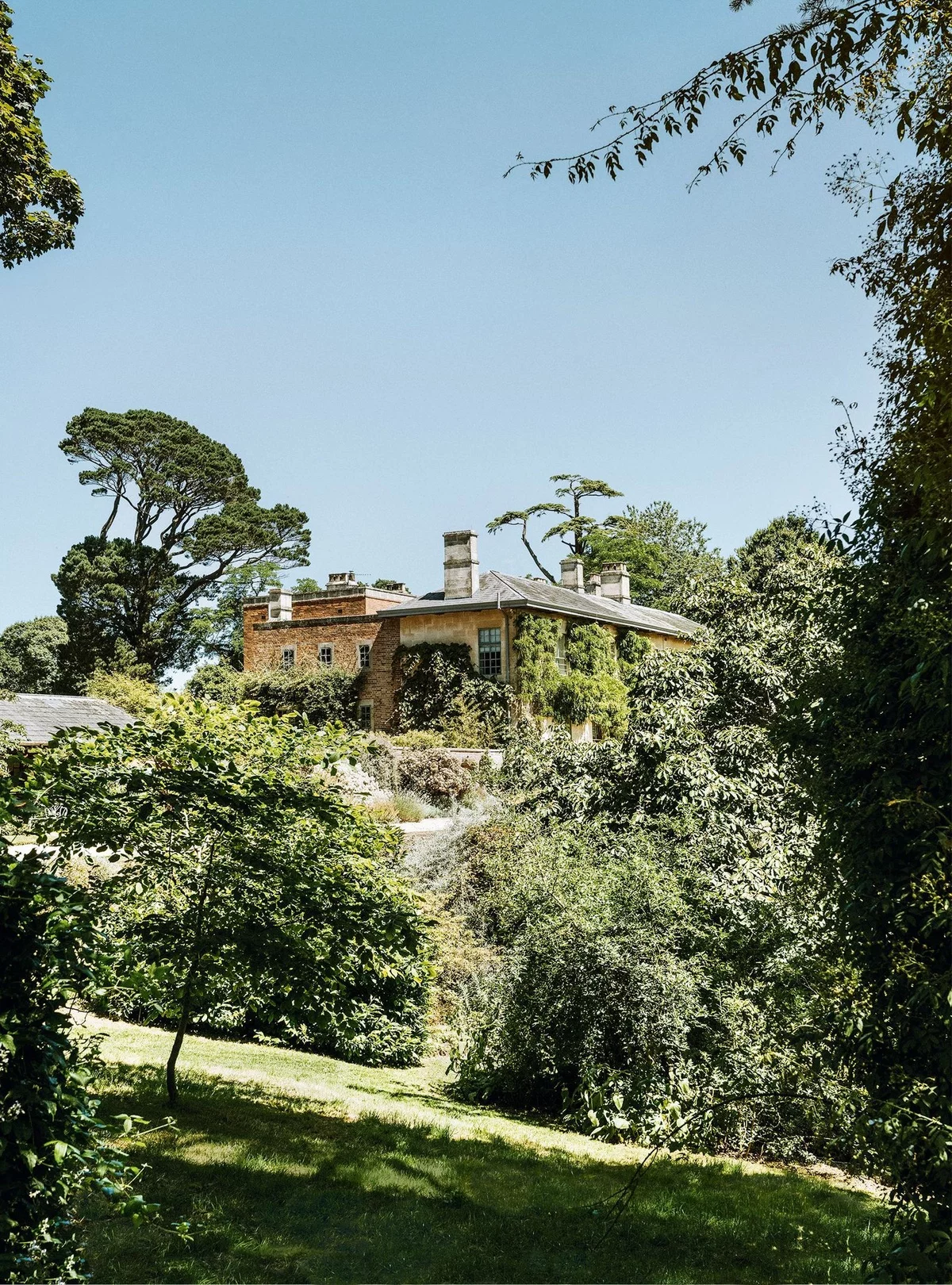 Garten Landhausstil mit wild wachsenden grünen Pflanzen 