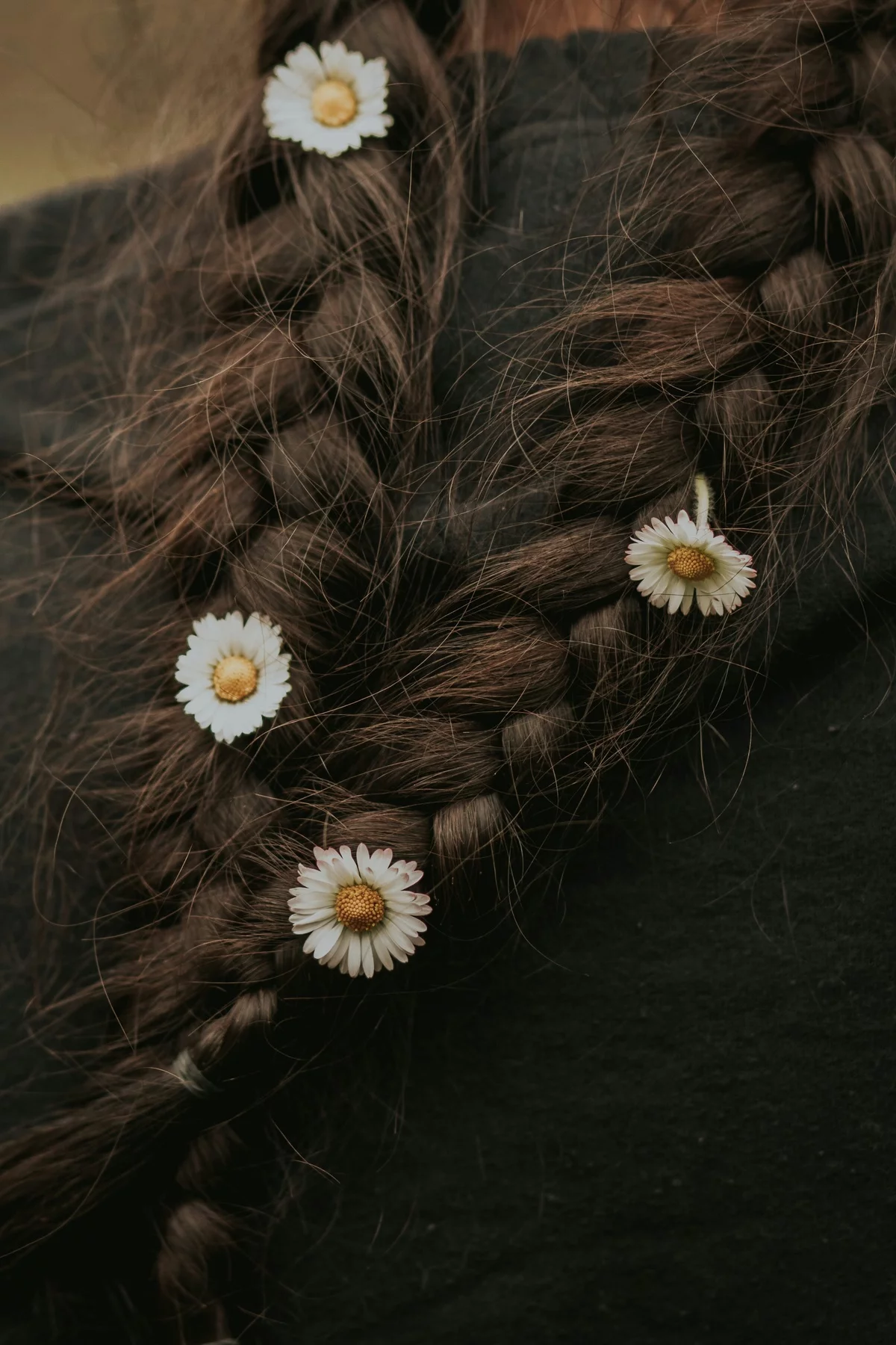 kleine weiße Blumen im Haat gesteckt 