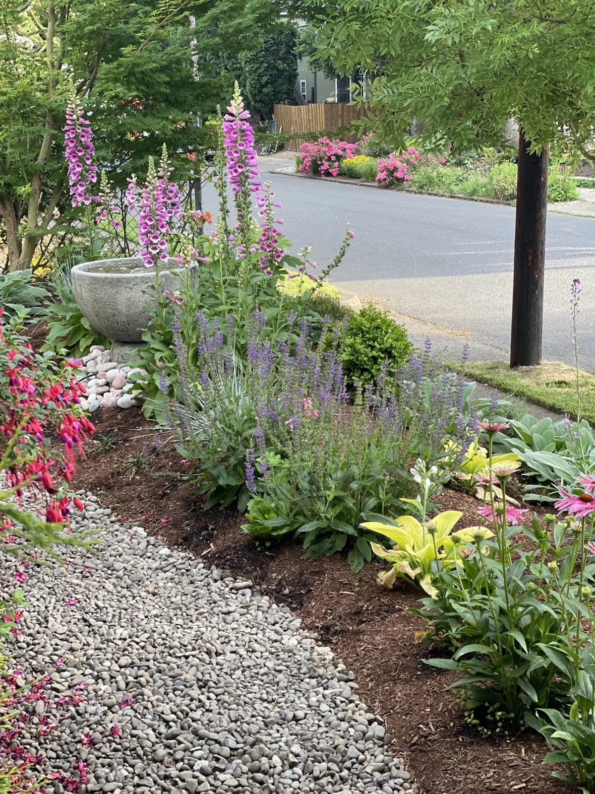 Kiesfläche neben dem Blumenbeet - Vorgarten gestalten pflegeleicht