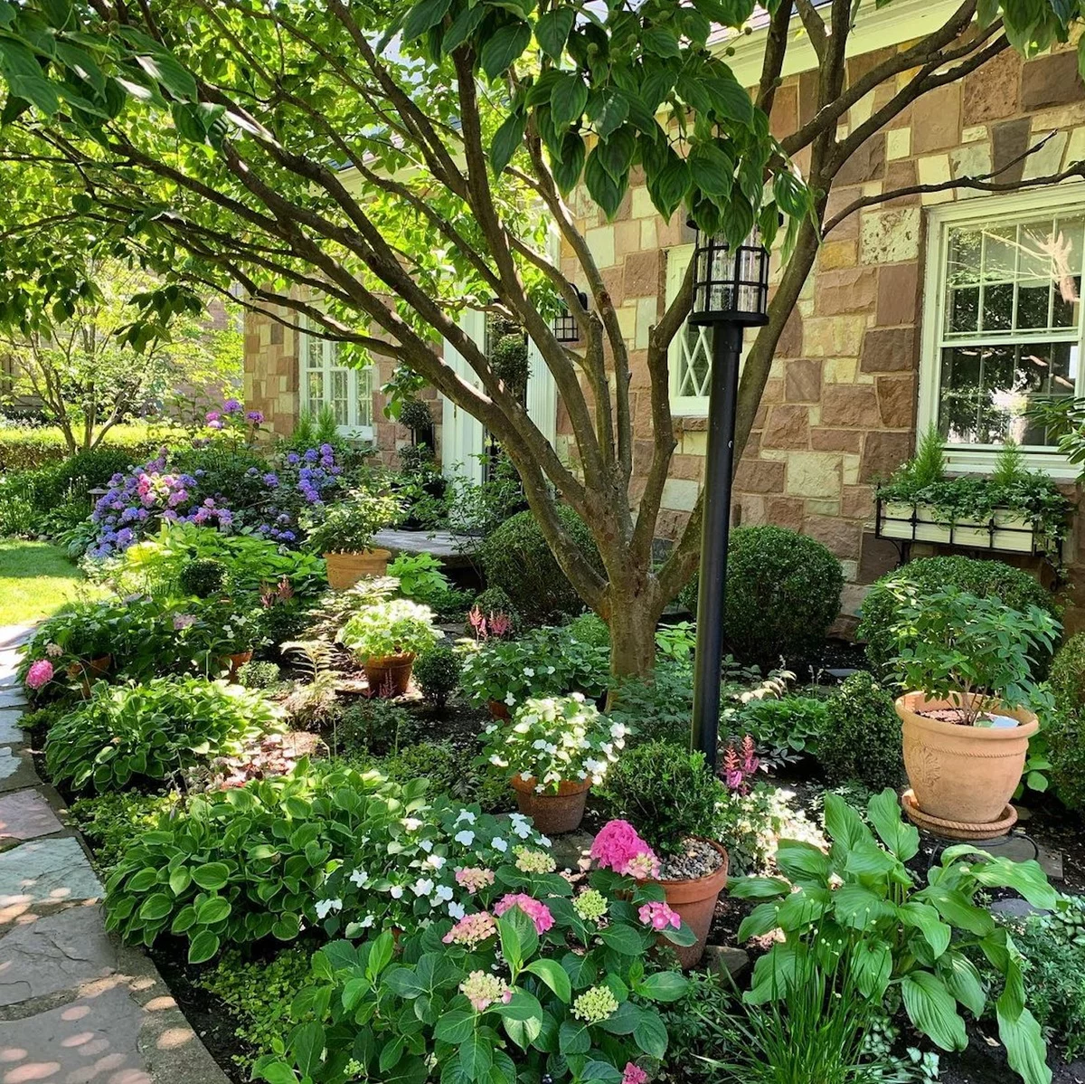 Hortensien und andere blühende Gartenblumen schmücken den Vorgarten