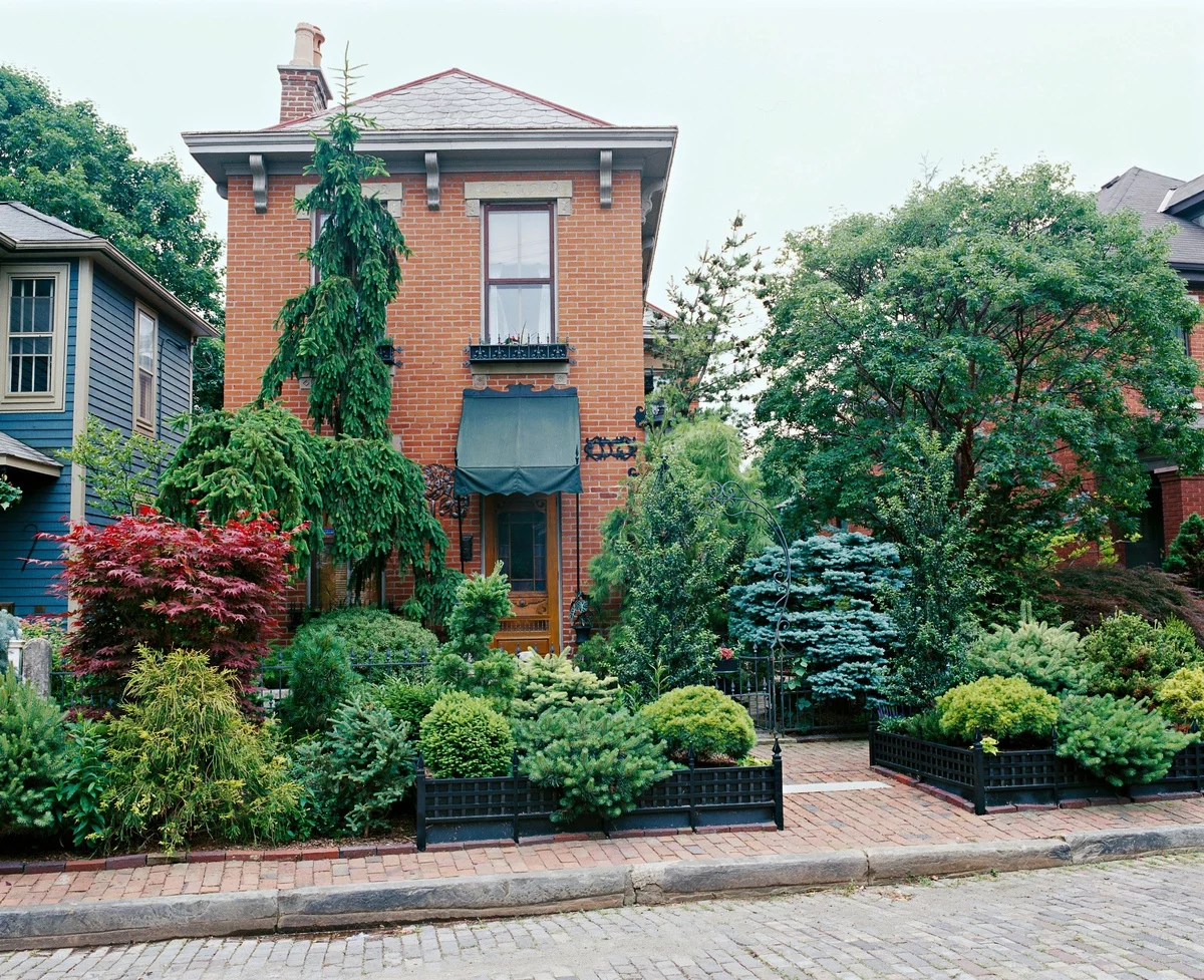 Vorgarten gestalten pflegeleicht im Landhausstil mit vielen grünen Pflanzen