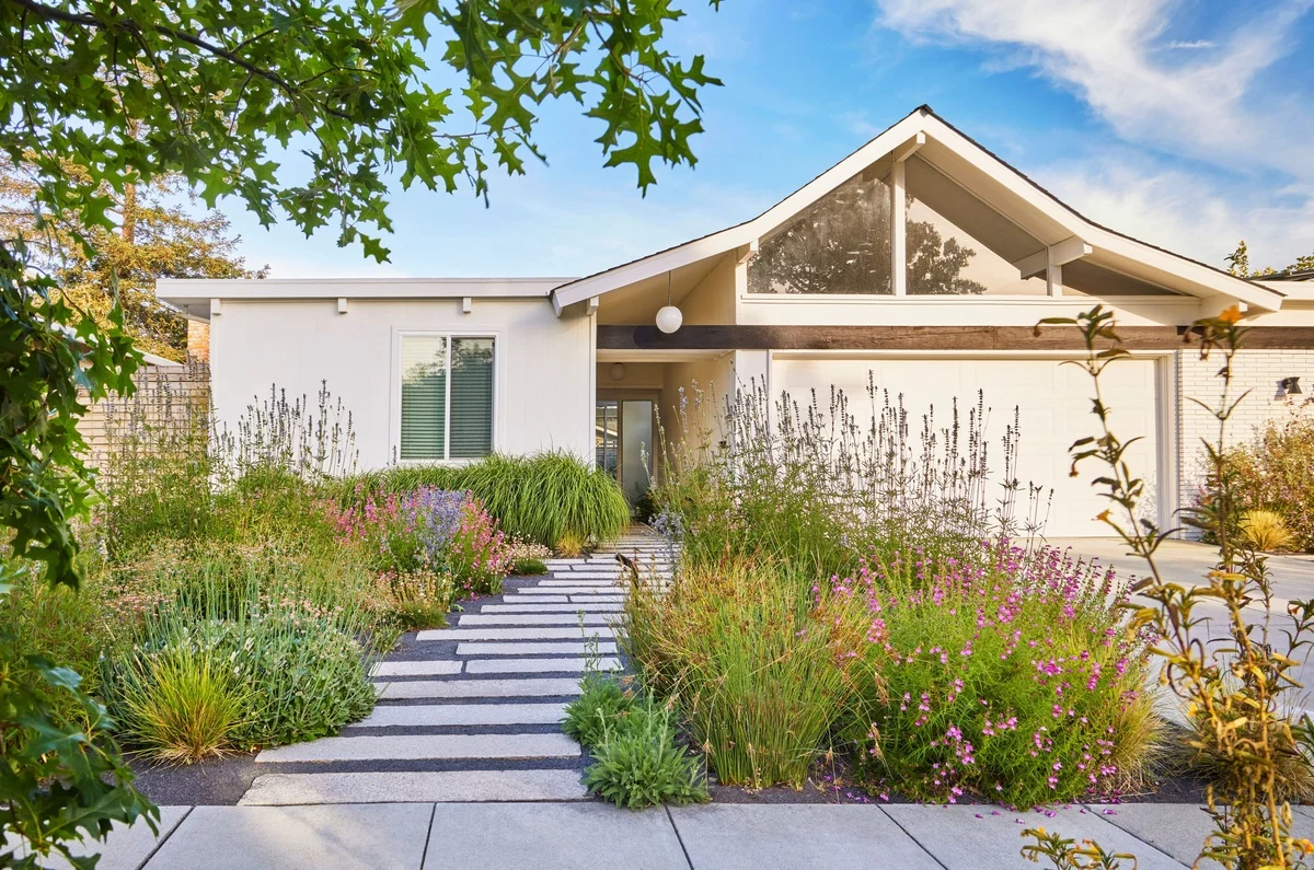 Vorgarten mit Steinweg zum Haus und wild wachsenden Pflanzen