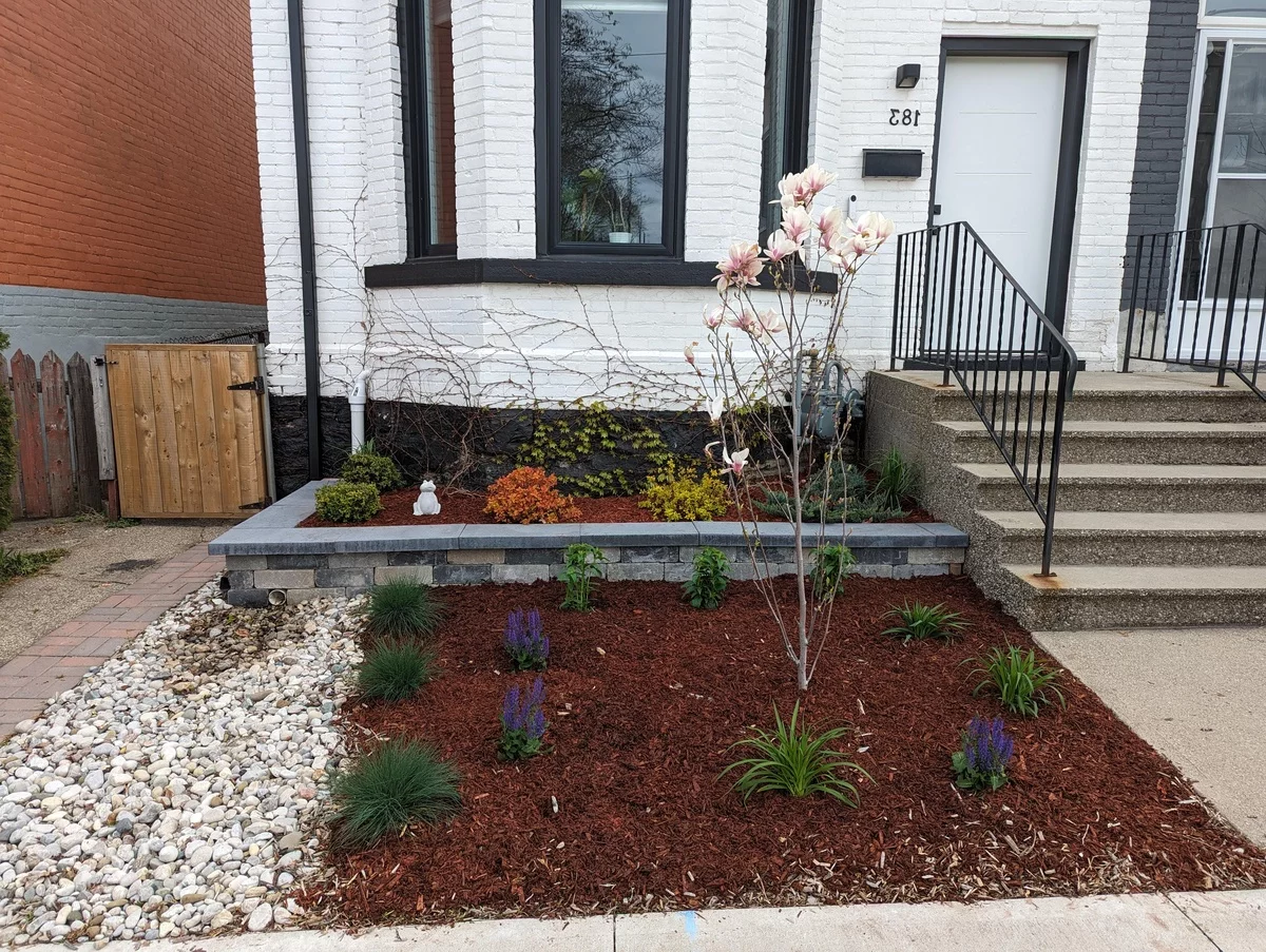 kleinen Vorgarten gestalten pflegeleicht mit Kies und wenig Pflanzen